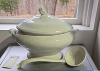 Tureen with lid and ladle showing overall appearance