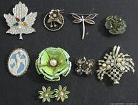 Group shot of all eight brooches