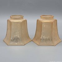 Front view of both amber etched glass lamp shades