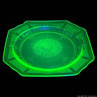Plate under UV light showing strong green fluorescence