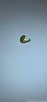 Pear-shaped green tourmaline on neutral background