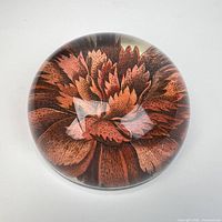 Top view showing full floral image under clear glass