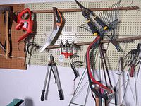 Wall-mounted assortment of hand and long-handled garden tools