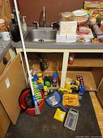 Overall view of bucket, cleaners, dustpan and supplies under sink