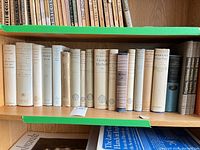 Full shelf view of approximately 20 cream-jacketed books