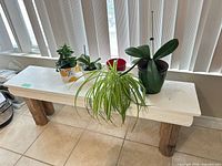 Full view of wooden plant stand with four potted plants and red pot