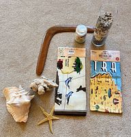 Group shot of all items—tea towels, boomerang, shells, conch, starfish, frog carving