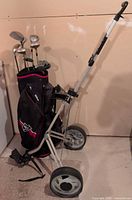Bag on caddy holding clubs, full lot view