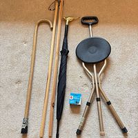 All mobility aids laid out: umbrella cane, seat cane, three wood canes, spare tip