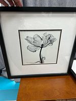 Front view of framed print showing frame, mat and image