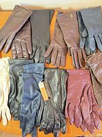 Overview of all glove pairs laid out on table