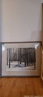 Full view of framed winter forest print, showing frame, mat and glazing