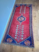 Full view of runner rug on floor showing entire design and size