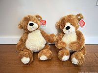 Front view of both GUND teddy bears sitting side by side showing tags