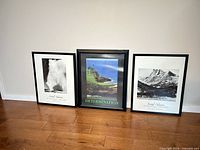 All three framed prints standing side by side