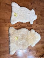 Both rugs laid out showing size difference and overall condition