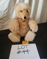 Front view of Steiff Watch Teddy bear seated with tags visible