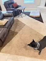 Full view of beige, tan and brown geometric shag rug in room setting