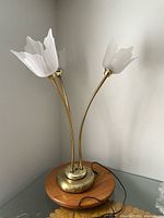Full view of lamp with two frosted glass flower shades on brass stems and wood/brass base