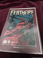 Front cover of Feathers issue 6 of 6 in sleeve