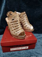 Pair of champagne rhinestone cage heels on red Delicacy box