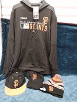 Entire lot: hoodie, two caps, beanie