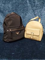 Both backpacks front view