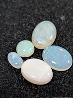 Five loose opal cabochons laid on dark background