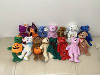 Group shot of all 15 TY Beanie Baby bears