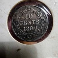 Reverse side of 1890 Newfoundland 10 Cents coin in holder