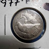 Reverse of 1977 British Virgin Islands 5 cents coin showing bird design