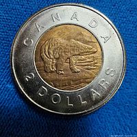 Reverse of 2006 Canadian $2 coin showing polar bear design