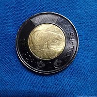 Reverse side showing polar bear and black outer ring