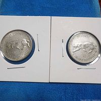 Both bobcat quarters in cardboard flips