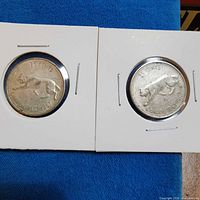 Two 1867-1967 Canadian Centennial quarters in holders, bobcat reverse visible