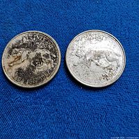 Front view of two bobcat quarters on blue background