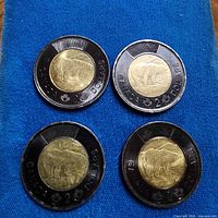 Four black-ring Queen Elizabeth II toonies on blue cloth