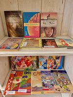 Overall view of both shelves with all books visible