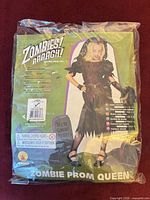 Front of package showing retail insert with costume image, size label large 12-14