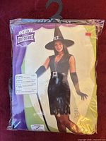 Front of sealed package showing witch costume image and labels
