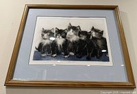 Framed kitten print full view on wall