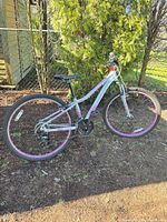 Full view of Giant Enchant bicycle