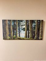 Full frontal view of signed forest landscape canvas