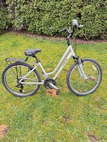 Full left-side view of silver Trek step-through hybrid bicycle on grass