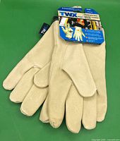 Front view of packaged TWXpert gloves