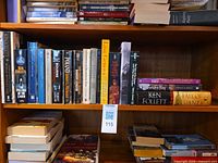 Overall view of three shelves filled with fiction books