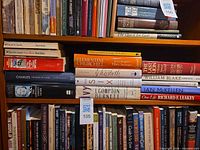 Two shelves of assorted biography books
