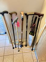 Group shot showing six canes, umbrella, ceramic stand