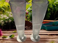 Pair of clear tall pilsner glasses on garden-themed background
