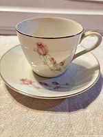 Cup on saucer showing rosebud design and silver trim